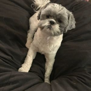 Meet your Posher, Brett